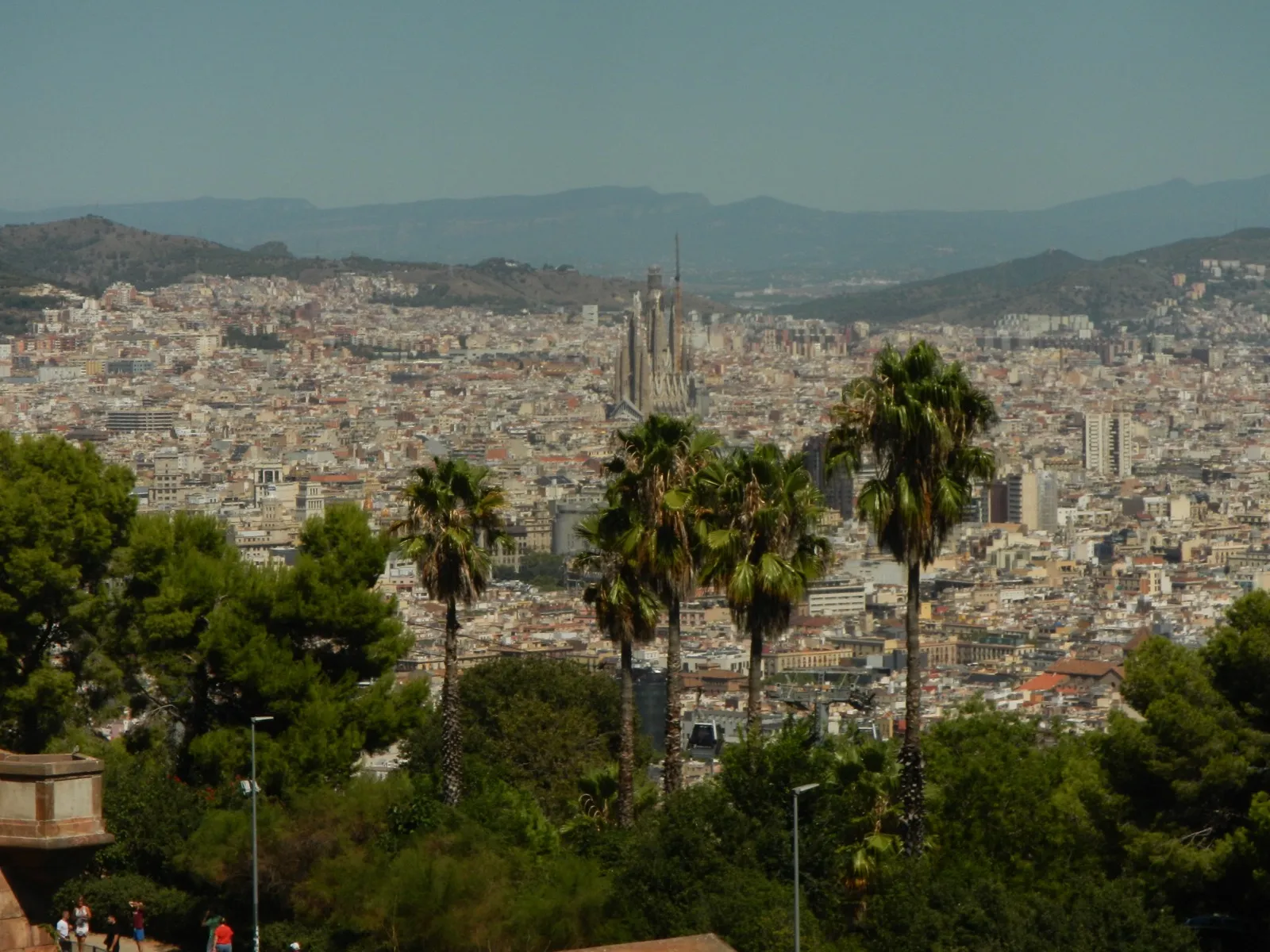 View across Barcelona with palm trees in the foreground