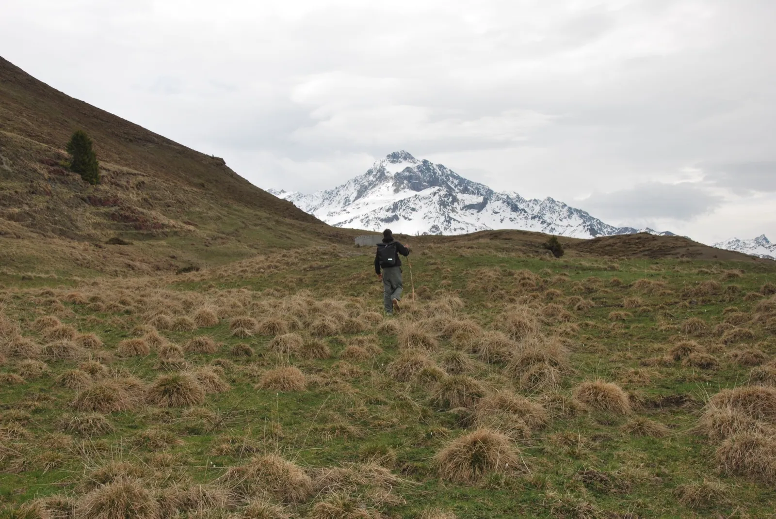 A single hiker crossing a meadow below a snow covered peak